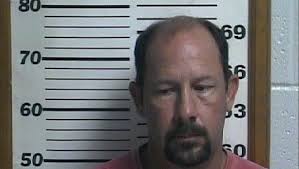 Starved horses in critical condition after rescue