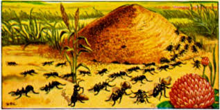Ant infestations in your yard. Ants In The Garden Benefits Of Ants The Old Farmer S Almanac