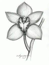 Best Flowers Sketch Orchid 40 Ideas Flower Sketches Flower Drawing Orchid Drawing