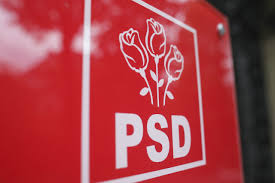 Psd A Definitivat Lista Candidaţilor In Diaspora La Alegerile Parlamentare