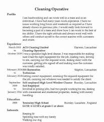 As with any other application, you should make your resume as specific as possible. 147 Cleaning Services Cv Examples Installation And Maintenance Cvs Livecareer