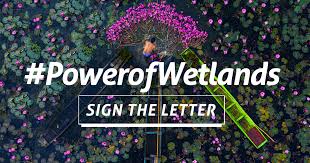 Began playing tennis at age 3 with his dad. Powerofwetlands