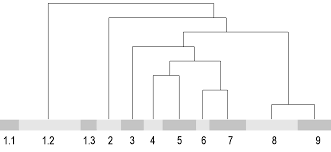 Image result for Ozoroa okavangensis