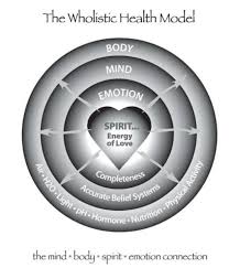 Holistic Health Model Twilit Can Get You There Wholistic Health Holistic Health Holistic Care
