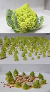 Broccoli 4 fotos 1 palabra. Fractus Arte Y Matematicas Cuaderno De Cultura Cientifica