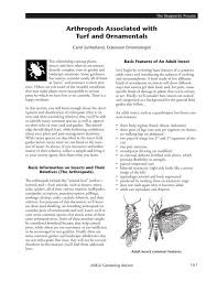 Chop up the veggies and assemble ingredients. Arthropods Associated With Turf And Ornamentals Nmsu S College