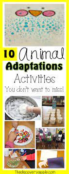 10 Exciting Animal Adaptations Activities And Resources The Discovery Apple Animal Adaptations Activities Adaptations Activities Animal Adaptations