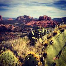 Tickets, tours, address, phone number, sedona chamber of commerce reviews: Sedona Chamber Of Commerce Tourism Bureau Sedona Az 86336