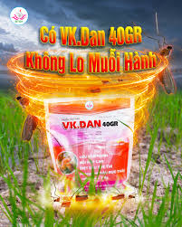 Vk.Dan 40GR