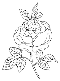 See more ideas about desene artistice, desen persoane, desen. Desene De Desenat Cu Fete Shefalitayal