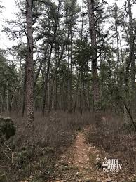 Check spelling or type a new query. Wharton State Forest Loop Mullica River Trail Beaver Pond Quaker Bridge Trail Wilderness Connector Loop Shamong Nj South Jersey Trails