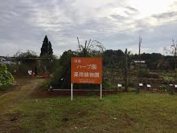 千葉県にある植物化学研究所併設の 佐倉ハーブ園 ハーブ好きがはまる6つの魅力 たびこふれ