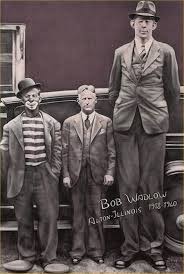 Maybe you would like to learn more about one of these? Robert Waldow Der Grosste Aller Giganten Wetall