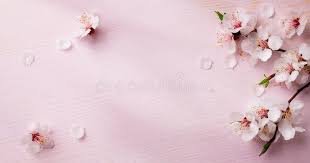 38,276 free photos of rose. 4 554 262 Flowers Photos Free Royalty Free Stock Photos From Dreamstime