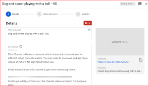 I thought i would do a very simple and easy explanation of how to upload your shadowplay recordings straight to youtube via the geforce experience. How To Upload A Private Video To Youtube 2021 Edition