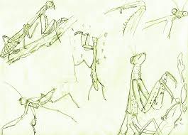 Monkey kung fu combat applications. Acquiring Dark Powers In The Southern Mantis Tradition D S Farrer Examines The Role Of Animals In The Chinese Martial Arts Kung Fu Tea