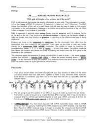 The connection between genes and proteins. Protein Synthesis Translation Worksheet Answer Key Promotiontablecovers