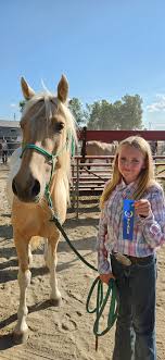 Tired but proud of my horse's progress