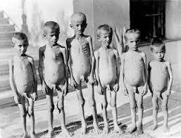 Image result for holocaust photos