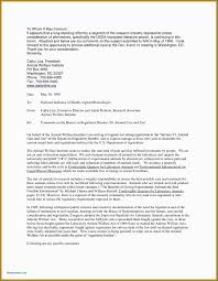10 New Writing Sample Format In 2020 Report Writing Template Cover Letter For Resume Resume Cover Letter Examples