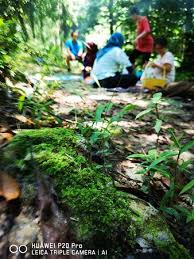 Check spelling or type a new query. Sungai Congkak Recreational Forest Hulu Langat District 2021 All You Need To Know Before You Go With Photos Hulu Langat District Malaysia Tripadvisor