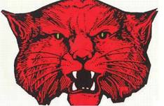 Brady Varsity Football @ Ballinger