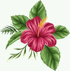 Pin Von Nour Mohamed Aiad Auf Tus Me Gusta De Pinterest Hibiskus Zeichnung Blumen Zeichnung Blumen Malen