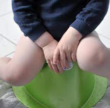 Deinen sohn an das töpfchen gewöhnen. Topfchen Training Wann Ist Die Beste Zeit Um Damit Anzufangen Welt