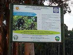 Image result for Agelanthus keilii