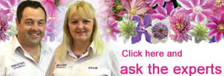 Check spelling or type a new query. Pests And Disease Info