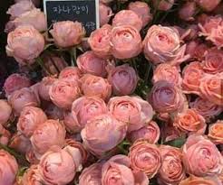 Maybe you would like to learn more about one of these? Pin On Yt