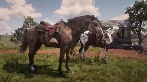 Mine is a gorgeous palamino dapple standardbred mare with some nice stats. Red Dead Redemption 2 Freeroam Riding Norfolk Roadster Dappled Buckskin And Spotted Tricolor Youtube