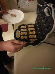 Bow Wow Bistro Dog Treat Maker Review Dog Treats Treats Dog Treat Recipes