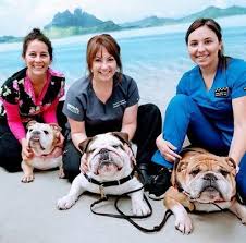 Check spelling or type a new query. Town And Country Veterinary Hospital And Pleasanton Pet Hotel 923 Main Street Pleasanton Reviews And Appointments Topvet