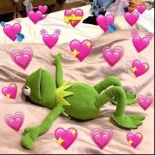 The Frog Showing Immense Love Via Love Memes Memes Droles Visages De Meme Image Grenouille