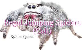 Let's welcome our new members: Juliette's Jumpers , Shelly Lizak Ruiz,  Joyce Kinsella, Crystal Stepien, Kai So, Willie Antoinette, Ellison Peel  Georgia, Laura Ochoa, Katie Noel