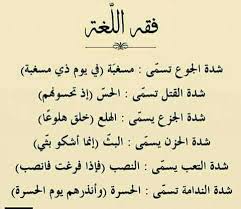 لغة عربية معنى الكلمات في اللغة العربية الفصحى Words Quotes Inspirational Words Islamic Phrases