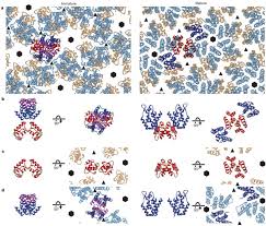 I do not understand the difference between greek oregano and the decoration one. Structure Of The Immature Retroviral Capsid At 8 A Resolution By Cryo Electron Microscopy Nature