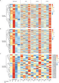 Linker histone H1 regulates defense priming and immunity in plants