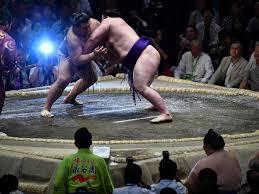 They deal in facts, details and logic. The Dark Side To Sumo Wrestling And Why It Remains As Popular As Ever The Independent The Independent
