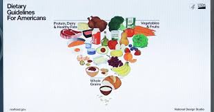 Image result for Nutrition Guidelines