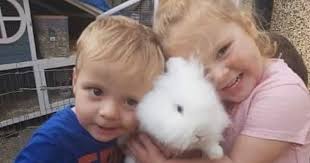 Young siblings killed in M4 crash were in car stopped