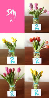 Getting your bouquets to stay fresh is easier than you think with our guide for long lasting fresh indoor flowers can make your home smell of summer and sunshine… until they begin to wilt. Test Lab The Best Way To Keep Flowers Fresh Apartment Therapy