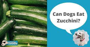 This veggie can be served in cubes or slices. Can Dogs Eat Zucchini Is Zucchini Good For Dogs