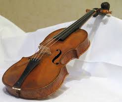When new leaves form and mature, the brown casings pull back and dry out. Baroque Violin Wikipedia