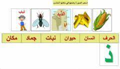 حرف الذال language arabic grade level g1 school subject اللغة العربية main content لعبة إنسان حيوان جماد other worksheets online activities online workouts