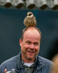 Fototip: Fotografie workshop bij Valk Roofvogels in Lunteren