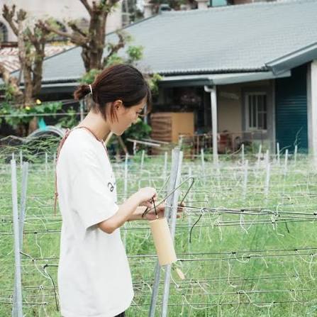 微田農場（戶外有機轉型期蘆筍）