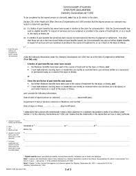 Resume Declaration Format For 2021 Printable And Downloadable Cust
