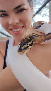 What tips or tricks should a new ball python momma know for her 8-month-old  enchi leopard?